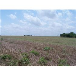 160 Acres and 25% of Mineral Rights