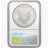 Image 2 : 2020-W Silver Eagle NGC MS70