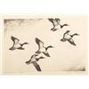 Image 1 : Hans Kleiber, three etchings
