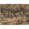 Image 1 : Greg Beecham, pencil