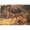 Image 1 : Greg Beecham, oil on canvas
