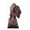 Image 4 : Tim Shinabarger, bronze