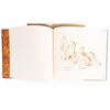 Image 2 : Sacred Paint, Ned Jacob by Sandra Dallas