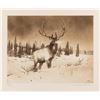 Image 1 : Michael Coleman, two etchings