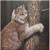 Image 1 : Daniel Smith, acrylic on board