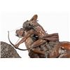 Image 10 : Lorenzo Ghiglieri, bronze