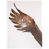 Image 4 : Joe Halko, bronze