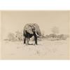 Image 1 : Dino Paravano, two pencil drawings