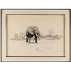 Image 2 : Dino Paravano, two pencil drawings
