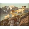 Image 1 : Hayden Lambson, oil on canvas