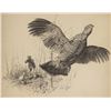 Image 1 : John W. Scott, two drawings