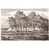 Image 1 : Birger Sandzen, lithograph