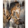 Image 1 : Bonnie Marris, oil on canvas