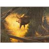 Image 1 : Greg Beecham, oil on canvas