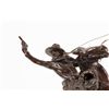 Image 2 : Charles M. Russell, bronze
