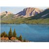 Image 1 : Dave Hodges, oil on canvas