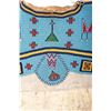 Image 4 : Cheyenne Beaded Woman's Dress