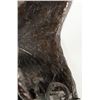 Image 8 : Bob Scriver, bronze