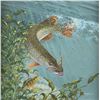 Image 1 : Mark Susinno, oil on board
