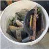 Image 8 : 2 TOOLBOXES AND BUCKET WITH FASTENERS, GROUTING TOOLS AND MORE