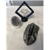 Image 1 : AMETHYST GEODE WITH 8 INCH ORTHOCERAS FOSSIL AND CLEAR QUARTZ