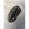 Image 2 : AMETHYST GEODE WITH 8 INCH ORTHOCERAS FOSSIL AND CLEAR QUARTZ