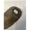 Image 3 : AMETHYST GEODE WITH 8 INCH ORTHOCERAS FOSSIL AND CLEAR QUARTZ