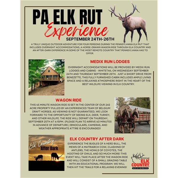 Pennsylvania’s Elk-Rut Experience