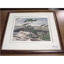 white Pine Print By A.j. Casson