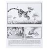 Image 6 : “The Tigger Movie” Press Kit.