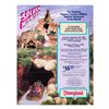 Image 2 : A Trio of 1989 Splash Mountain Flyers.