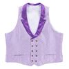 Image 1 : A Bibbidi Bobbidi Boutique Cast Member Vest.