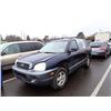 Image 1 : 2004 Hyundai Santa Fe
