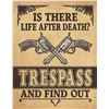 Image 1 : Life After Death?