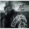 Image 1 : Ron Perlman signed photo