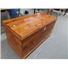 Image 2 : Large Cedar Trunk
