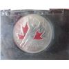 Image 3 : 2002 MEN'SHOCKEY COLORED TOONIE