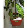 Image 2 : ESTATE:  ARTIFICIAL PLANT C/W POT