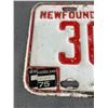 Image 2 : Vintage Newfoundland And Labrador 1973 Licence Plate