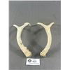 Image 2 : A Nice Pair of Deer Antlers