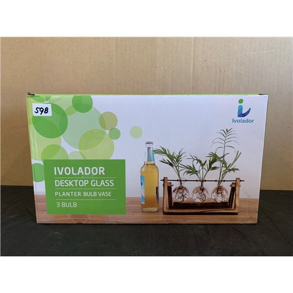 Ivolador Desktop Glass PlanterBulb Vase 3 Pack
