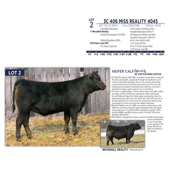 3C 406 MISS REALITY 4045