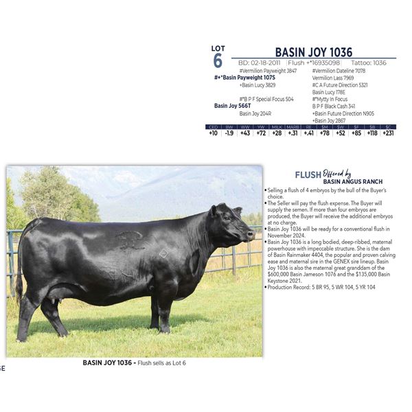 BASIN JOY 1036 - FLUSH