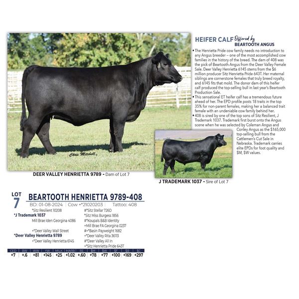 BEARTOOTH HENRIETTA 9789-408