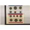 Image 1 : 1981 US MINT SET (UNC) P/D/S (WITH ENVELOPE)