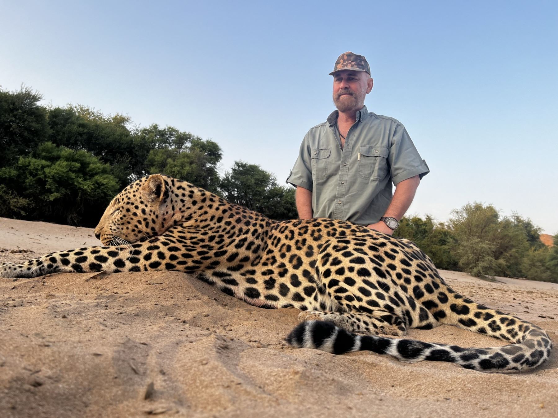 Trophy Leopard Hunt in Namibia