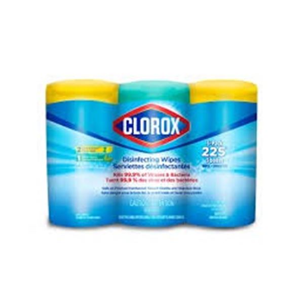 NEW 3 X 75 CLOROX DISINFECTING WET WIPES