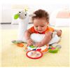 Image 1 : NEW FISHER PRICE GROW-WITH-ME TUMMY TIME LLAMA