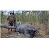 Image 8 : Australia - 5 day Hunt for 1 Hunter - Trophy include 1 Trophy Bull and 1 Cull Cow