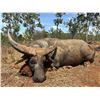 Image 9 : Australia - 5 day Hunt for 1 Hunter - Trophy include 1 Trophy Bull and 1 Cull Cow